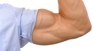 Biceps