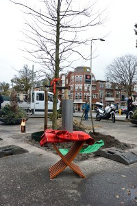 boom planten-6014