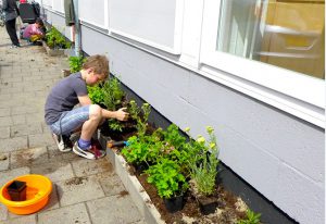 geveltuin